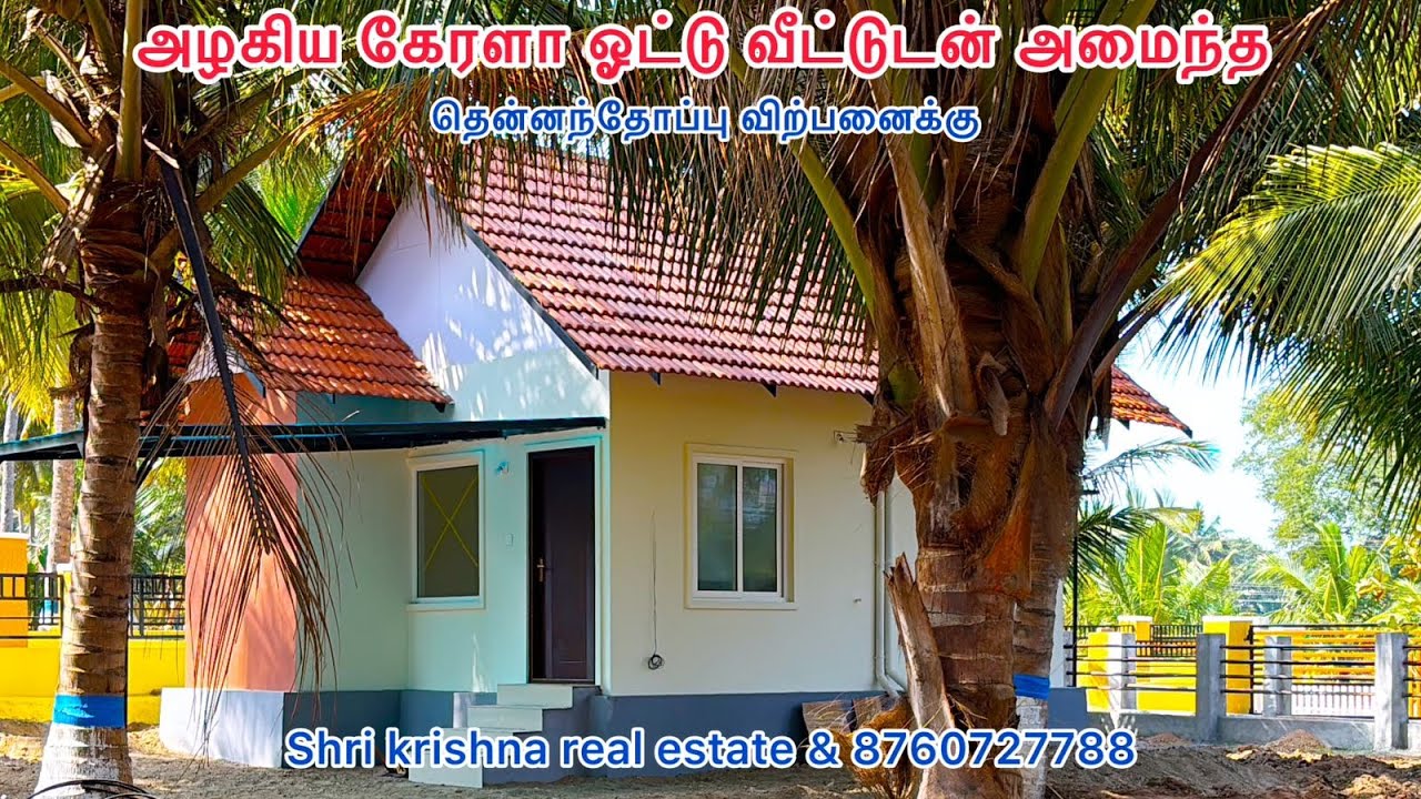 152) 30 சென்ட் இல் அமைந்த ஓட்டு வீட்டுடன் கூடிய தென்னந்தோப்பு விற்பனைக்கு.