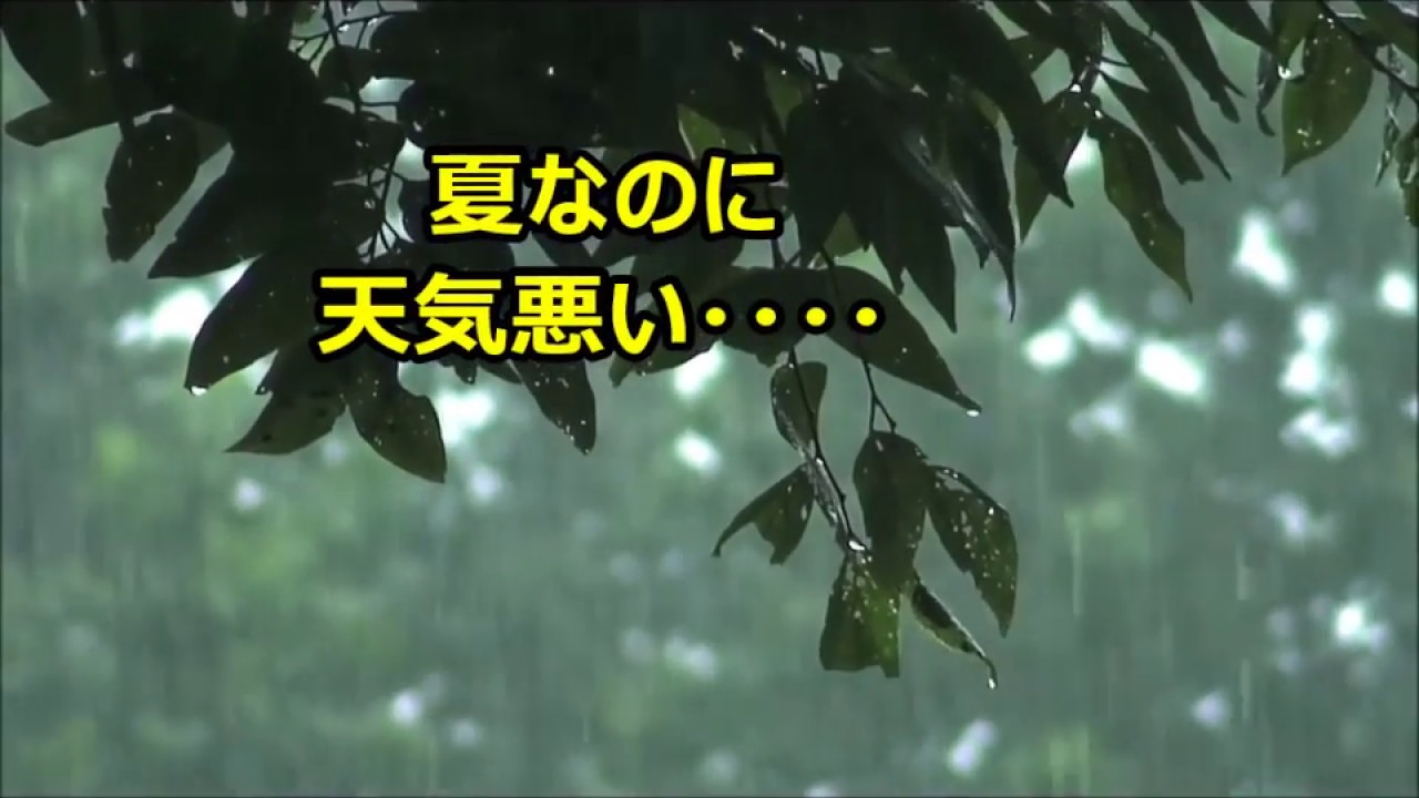 残暑　（オール）