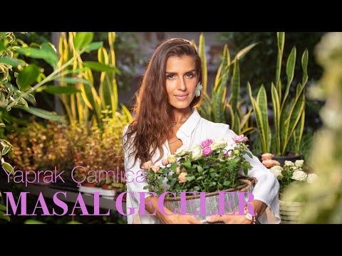 Yaprak Çamlıca - Masal Geceler (Official Video)