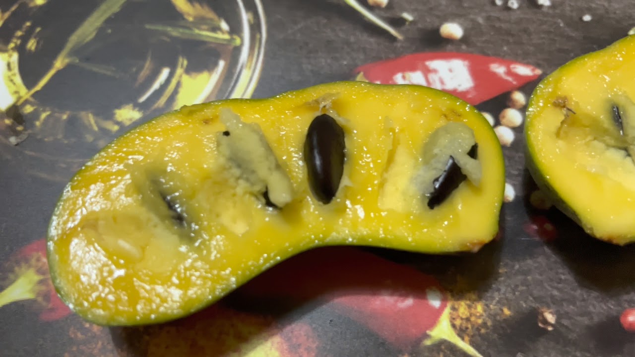 Indián banán kóstolás. Saját első termés. 2021.10.01.