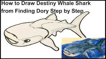 Draw Destiny Whale Shark from Finding Dory Step by Step