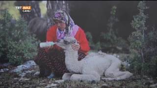 Üsküpte Çağdaş Türk Fotoğrafçılığı 10 Müellif 10 Motif Sergisi - Devrialem - Trt Avaz