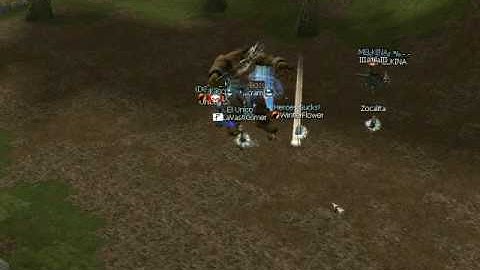 LineAge II Raid Boss 02/10/2009