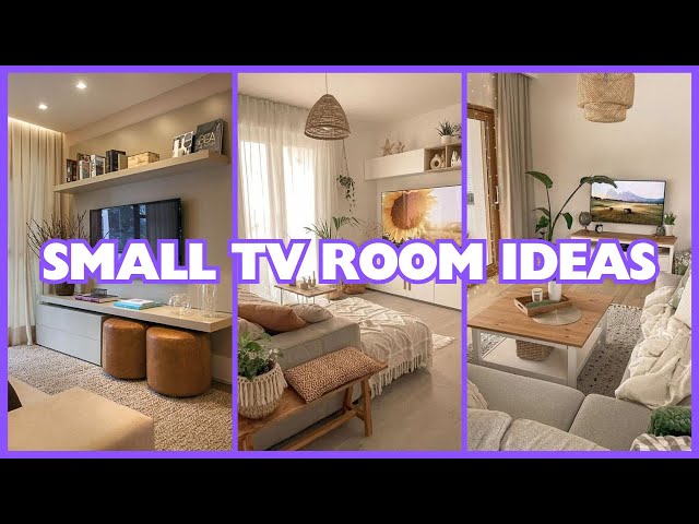 Small Apartments Tv Room Ideas