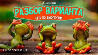 Разбор варианта ЕГЭ по биологии 2024