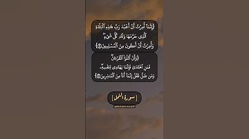 سورة النمل الآية ٩٠ الى ٩٢ بصوت الشيخ محمد صديق المنشاوي