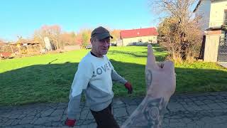 390 Maszyna Do Ziemniaków