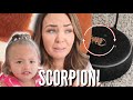 THERE’S a SCORPION in our HOUSE!! // IS OUR NEW HOUSE INFESTED??