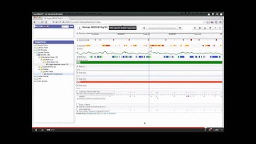 tranSMART 1.2 Launch - Kees - Michigan