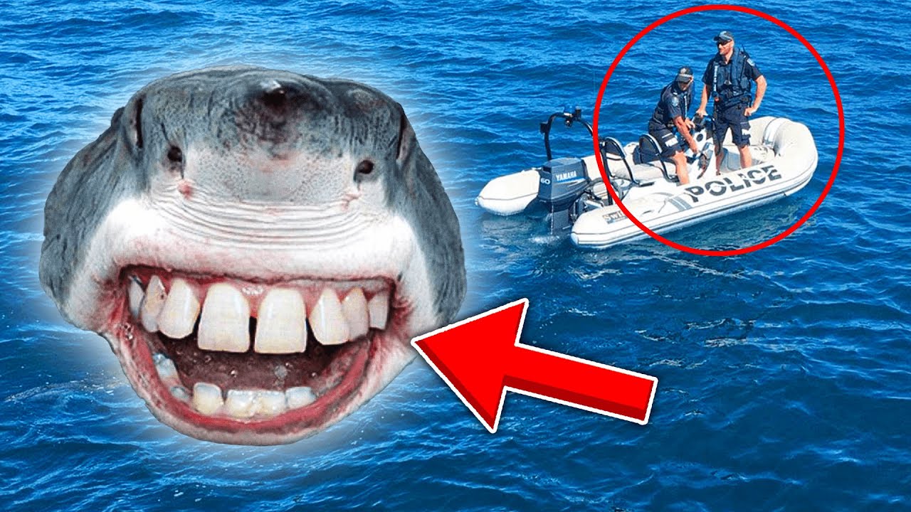 ΕΓΙΝΑ ΚΑΡΧΑΡΙΑΣ και ΜΕ ΕΠΙΑΣΕ Η ΑΣΤΥΝΟΜΙΑ!