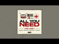 Ayn sounds  all you need vol 1 multikit sample pack preview