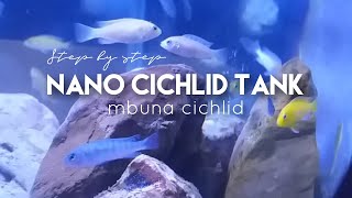 6 LANGKAH MUDAH MEMBUAT AQUARIUM CICHLID MINI (Nano Mbuna Cichlid Tank)