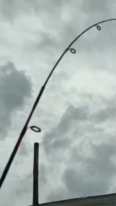Daido Angel Fish dobel strike ikan bawal