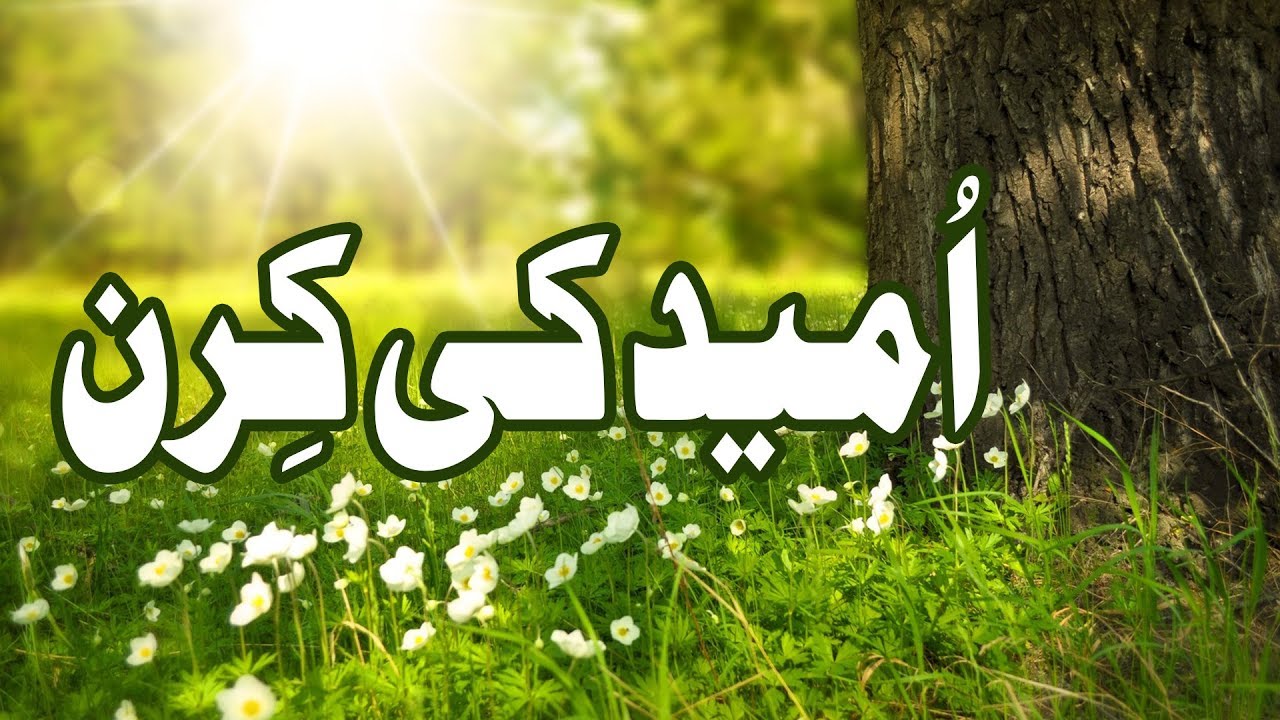 Eid Mubarak  Umeed Ki Kiran  Eid Special  Madani Channel
