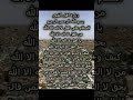 زيارة اهل القبور زيارة اهل القبور
