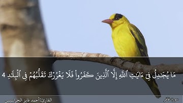 الصفحة 467 سورة الزمر وغافر بصوت القارئ المهندس أحمد فايز الحراسيس
