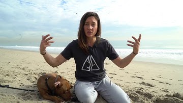 The Art of Attention