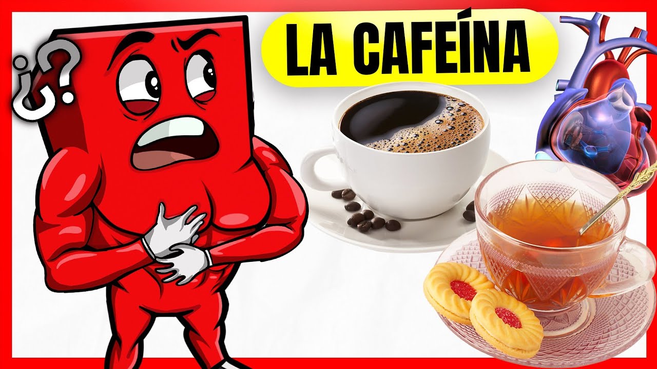 TODA LA VERDAD SOBRE LA CAFEINA 📈 ¿EL CAFE ES MALO? YouTube TODA LA VERDAD SOBRE LA CAFEINA 📈 ¿EL CAFE ES MALO? YouTube