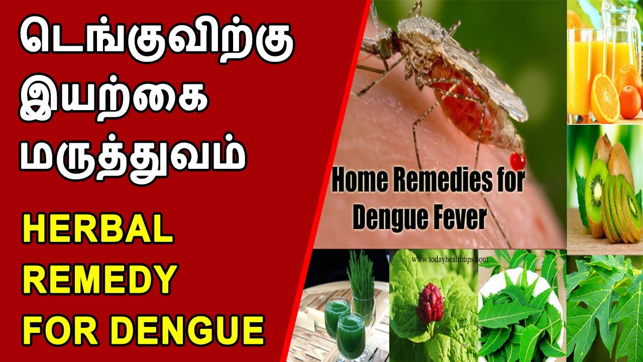 Dengue Home Remedies Herbal Remedy For Dengue Fever How To Cure hair-fall-remedy-at-home-stop-hair-fall-hair-fall-treatment-youtube