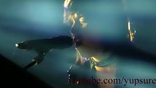Video thumbnail of "Halestorm - Dear Daughter - Live HD (Santander Arena)"
