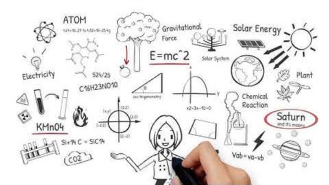 Whiteboard Animation Style