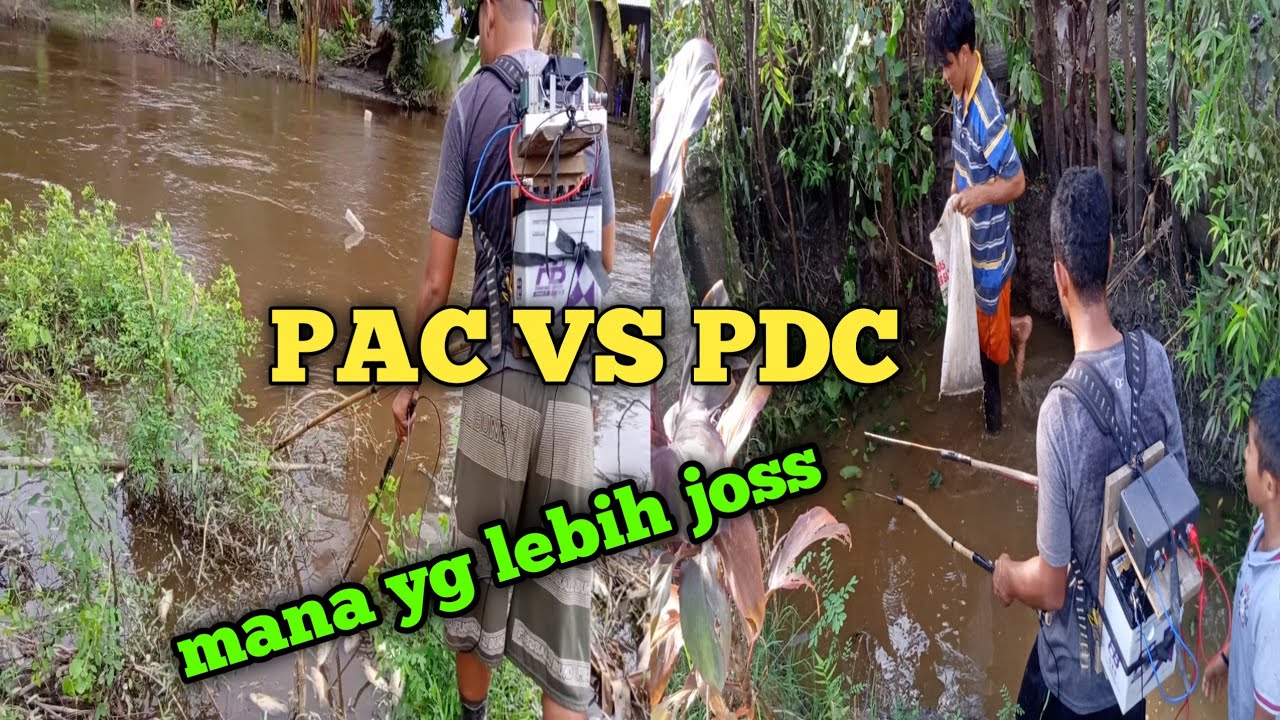 PAC vs PDC:WA/HP:081231704245