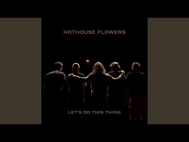 Hothouse Flowers - Dance To Save The World