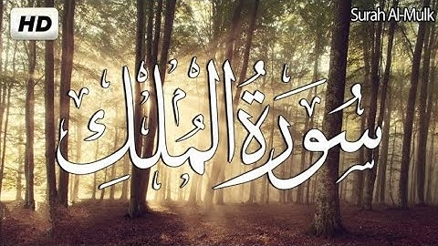اعتزل ضجيج الحياة واستمع إلى أجمل تلاوة لسورة الملك#sardar  #quran  #بدون_حقوق #قرآن #سورة_الملك