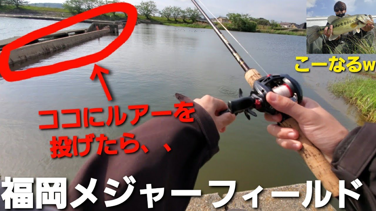 福岡メジャーフィールドのデカバススポット 福岡バス釣り 今川 Vlog 春バス釣り Bottomup ハリーシュリンプ ブラックバス Youtube 福岡メジャーフィールドのデカバススポット 福岡バス釣り 今川 Vlog 春バス釣り Bottomup ハリーシュリンプ ブラックバス Youtube