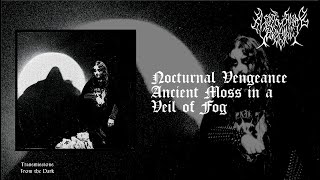 Download Lagu Nocturnal Vengeance - Ancient Moss in a Veil of Fog (album, 2025) [raw black metal] MP3