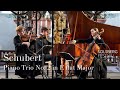 Schubert piano trio no 2 op 100 d929  isabelle faust sol gabetta kristian bezuidenhout