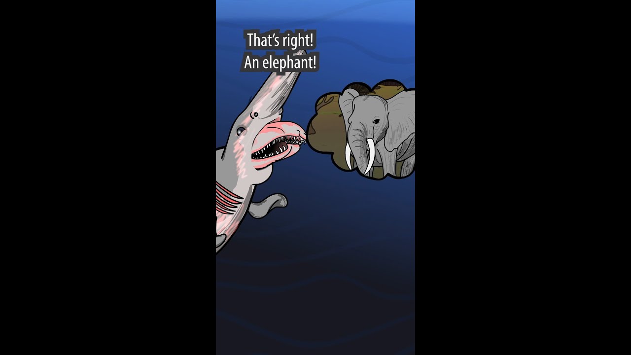 What land animal is most like a Goblin Shark? 