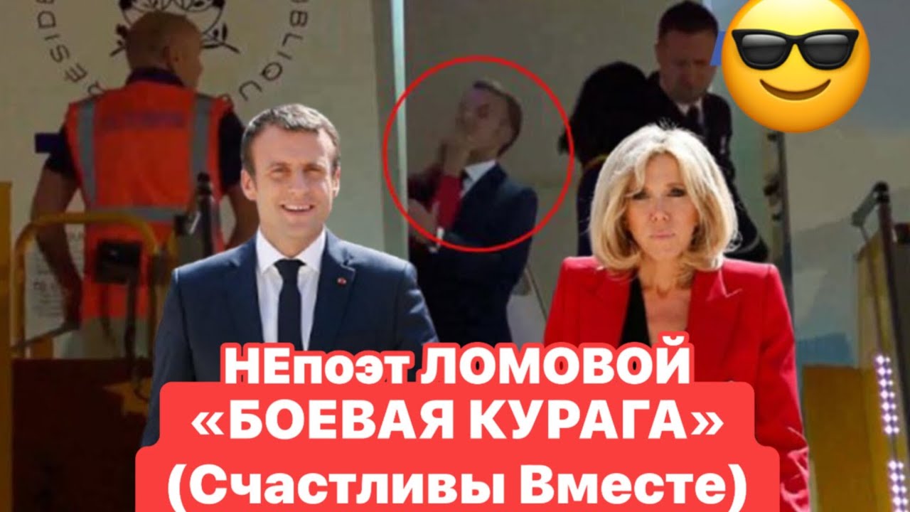 Предпросмотр