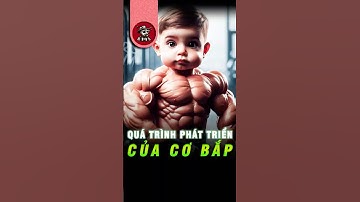 💪 Tại Sao Cơ Bắp Lại To Hơn Khi Tập Gym? | Kiến Sĩ #shorts #kiếnsĩ