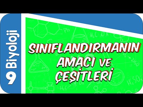 9. Sınıf Biyoloji:  Canlıları Sınıflandırmanın Amacı ve Çeşitleri #2022