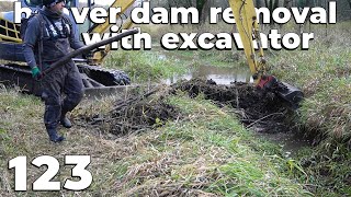 Two Beaver Dams Removal With Excavator No.123 And Mass Of Mud