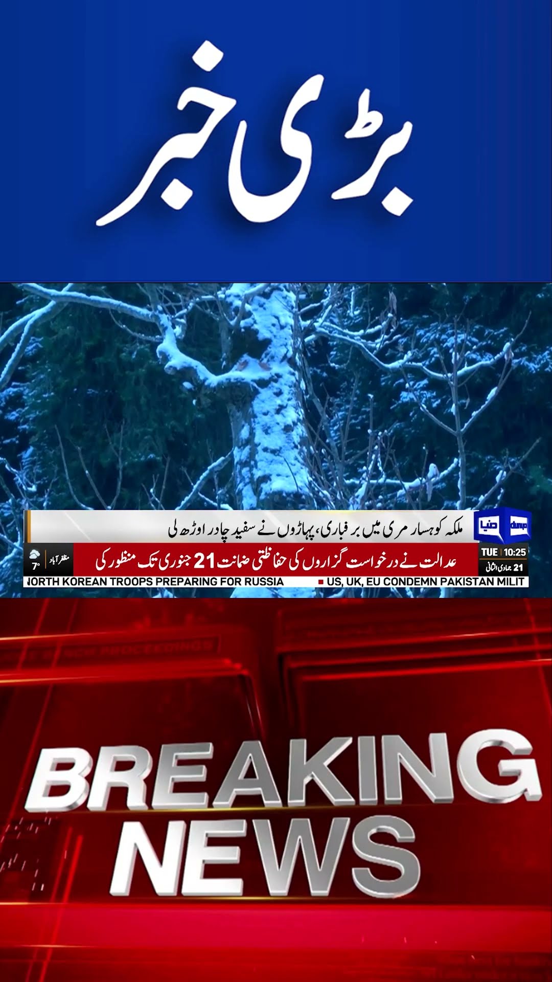 Snowfall in Malaka Kohsar Murree | Muree Weather Update | Dunya News #shortsnews #viralvideo