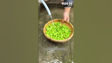 Công dụng hay cây tầm bóp (thù lù) #shorts