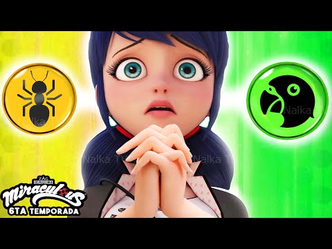 LADY ANTPARROT NEW TRANSFORMATIONS  LADYBUG AND CAT NOIR MIRACULOUS 6 Леди Баг Fanmade