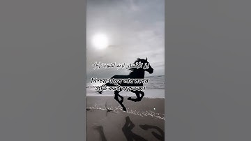 সূরাঃ ১০০/ আল-আদিয়াত | Al-Adiyat | سورة العاديات আয়াতঃ ১১ মাক্কী#কুরআন_তিলাওয়াত #দোয়া #quran