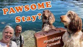 MEVAGISSEY Cornwall - A 24hr Dog Friendly stay