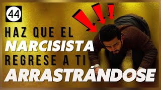 Cómo hacer que un Narcisista regrese a ti Arrastrándose