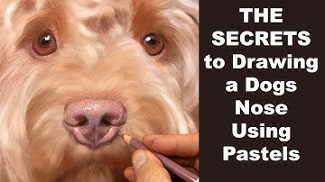 How to draw a realistic dog nose with PASTELS - Drawing tutorial | Pet portrait Artist