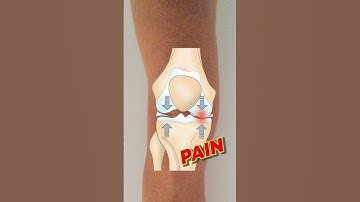 What is: Meniscus?