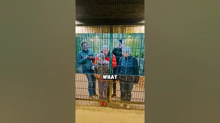 This Box Simulates How It Feels Like Being An Animal At The Zoo! (📸: @lovenaturetiktok/TT) thumbnail