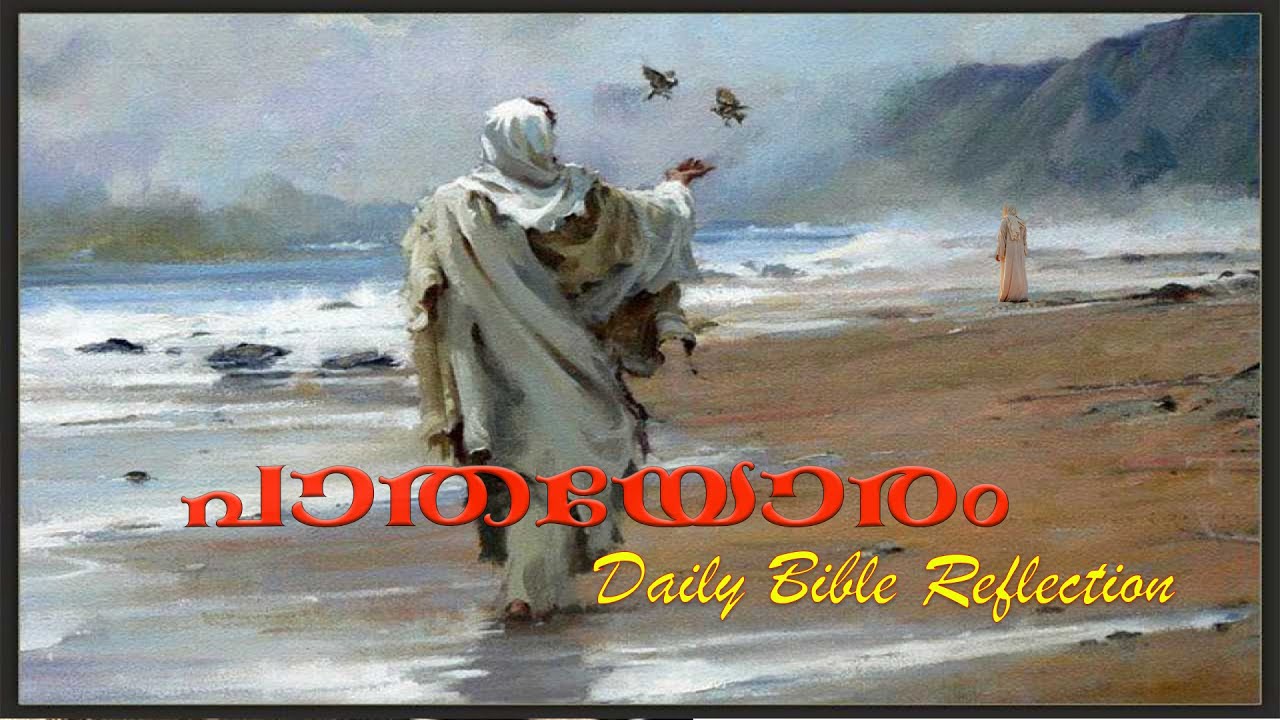 DAILY BIBLE REFLECTION || NOV 17 || LK 8:1-3