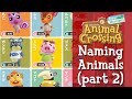 Download Animal Crossing Characters Names Pictures