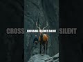 Echoes in Moss and Moonlight