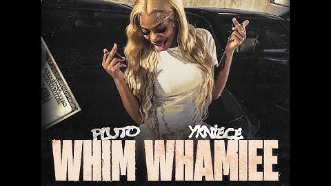 Thumbnail of PLUTO & YKNIECE WHIM WHAMIEE Clean