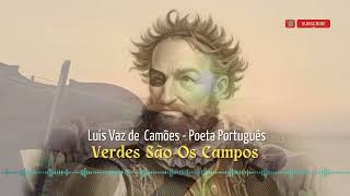 Vídeo de Verdes são os campos